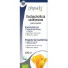 Physalis Estratto Amapola Bio – 100ml