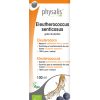 Physalis Extracto Eleutherococcus – 100ml