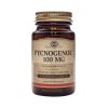 Kiefer Rindenextrakt Pycnogenol 30 Kaps 30 mg Solgar