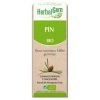 Pino Macerado Glicerinado Herbalgem – 50ml
