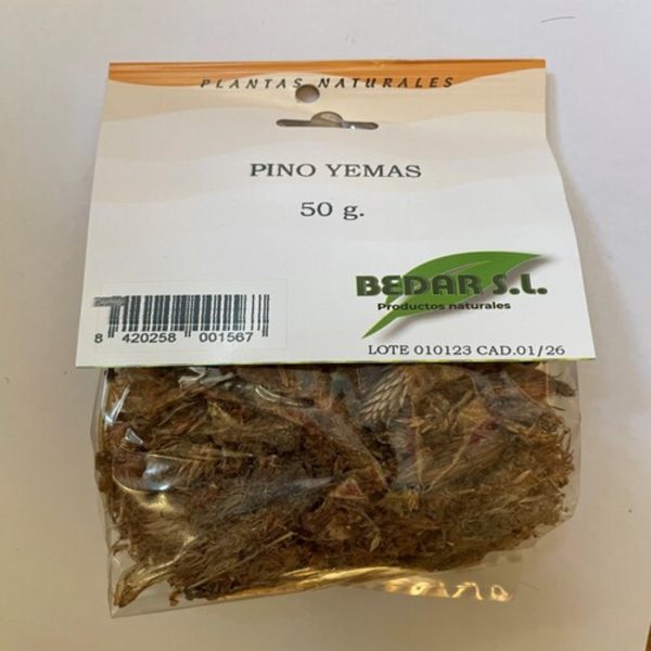 Pino Gemme Bedar – 50g