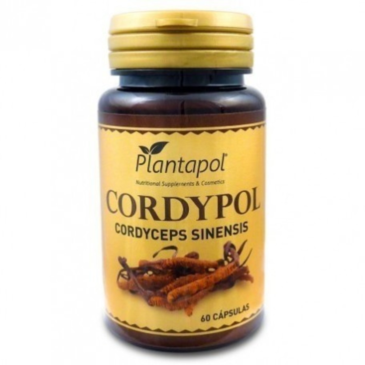 Plantapol Cordypol Cordyceps + Vitamina C 60 Cápsulas