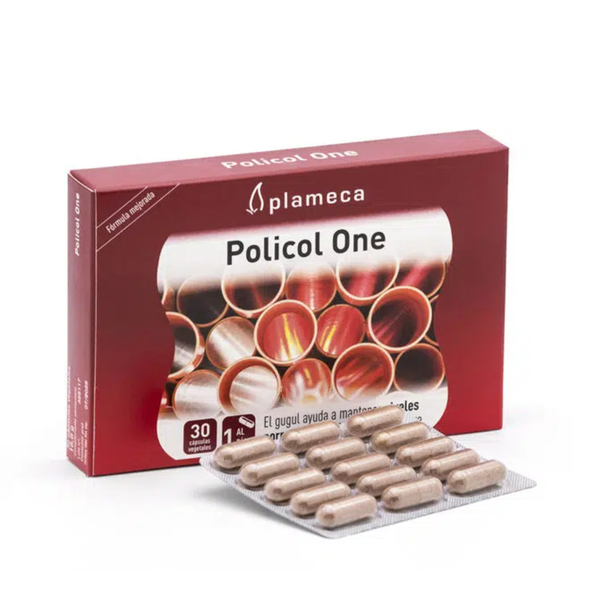 Policol One 30 Cápsulas Plameca