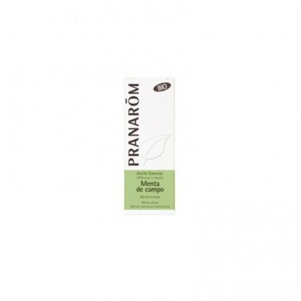 Pranarom Huile essentielle de menthe des champs Bio – 10ml
