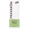 Pranarom Ätherisches Öl Gaulteria Duftend Bio – 10ml