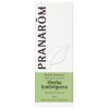 Pranarom Huile essentielle d'herbe lombriguère – 5ml