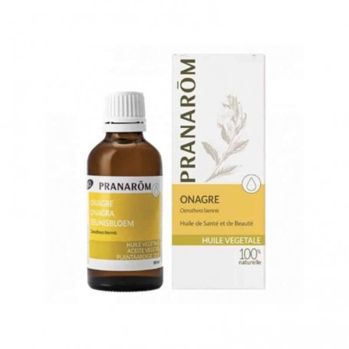 Pranarom Aceite Vegetal de Onagra BIO – 50ml