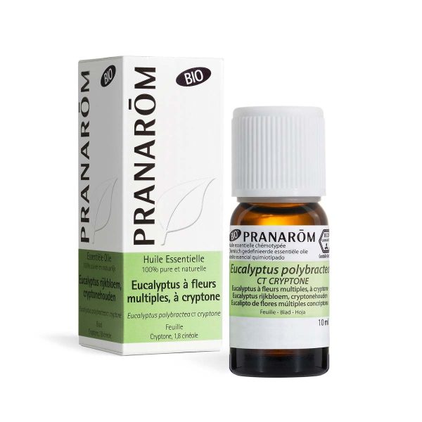 Pranarom Eucalyptus Fleurs Multiples Feuille 10