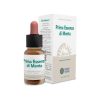 Prima Essenza Minze Komplex Vitalität – 10ml