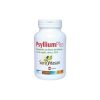 Psyllium Plus +Fos Sura Vitasan – 340g