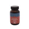 Rhodiola 300 mg 50 Kapseln Terranova
