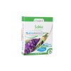 Sálvia 30 Cápsulas Drasanvi Nutrabasics