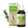 Sequoia Macerado Glicerinado Herbalgem – 50ml