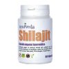 Shilajit 60 κάψουλες Ayurveda