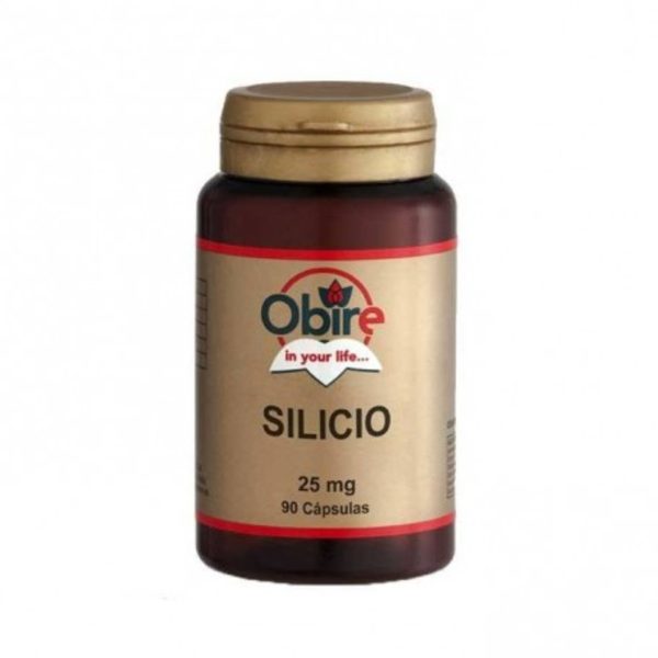 Silicium 25 mg 90 Capsules Obire
