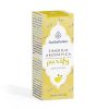 Sinergia Aromática Purify Esential Aroms – 100ml