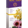 Goldene Sonne Sirup Plus Eladiet – 250ml