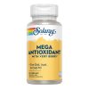 Solaray Mega Multi Antioxidant with Very Berry 60 Κάψουλες