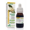 Solaray Phosphatidylserine Plus 60 cápsulas