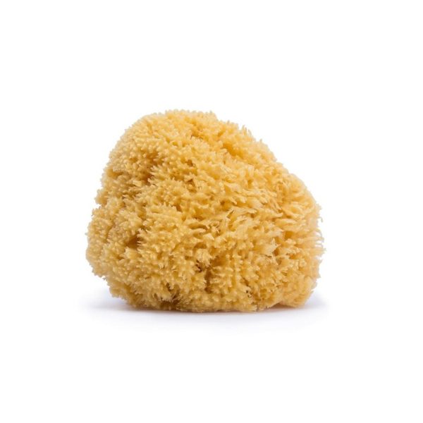 Suavinex Esponja Natural Grande