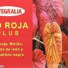 Vid Roja Plus 60 Kapseln Integralia