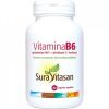 Vitamine B6 60 Capsules Sura Vitasan