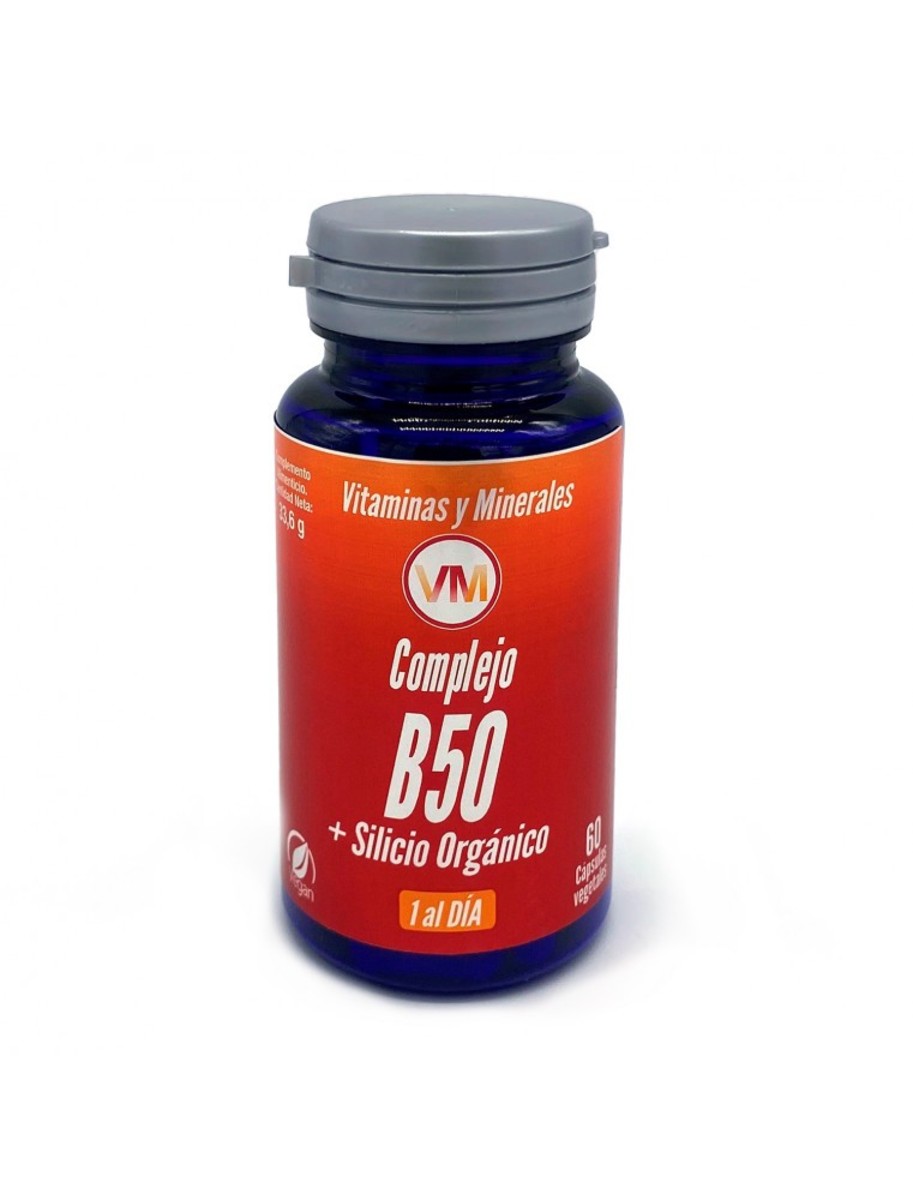 Ynsadiet Complejo B50 + Silicio Orgánico 60 Cápsulas Ynsadiet
