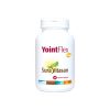 YointFlex 30 Kapseln Sura Vitasan