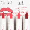 Lippenbalk bordeaux 4 g