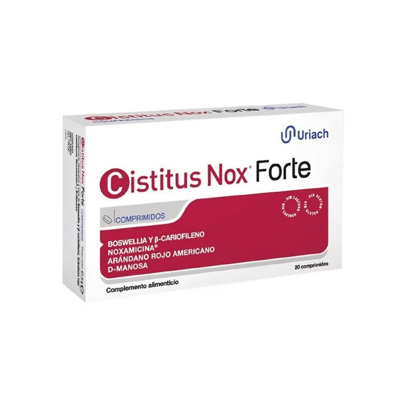 Cistitus Nox Forte amerikanische Cranberry 20 Tabletten