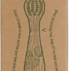 Brosse à dents en bois de hêtre dureté moyenne Georganics