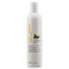 Champú hidratante com óleo de argan Milk Shake 1 L