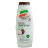 Palmers Champú Palmer’s Coconut Oil con aceite de coco botella 400 ml