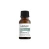 Lierac Protocole Stop Imperfections Traitement Localisé Visage 15 ml