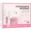 Internes Feuchtigkeitspack 2 x 6 Einheiten