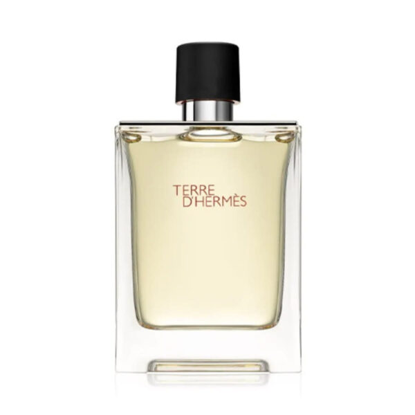 Terre d’Hermès Eau de Toilette spray 200 ml per uomo