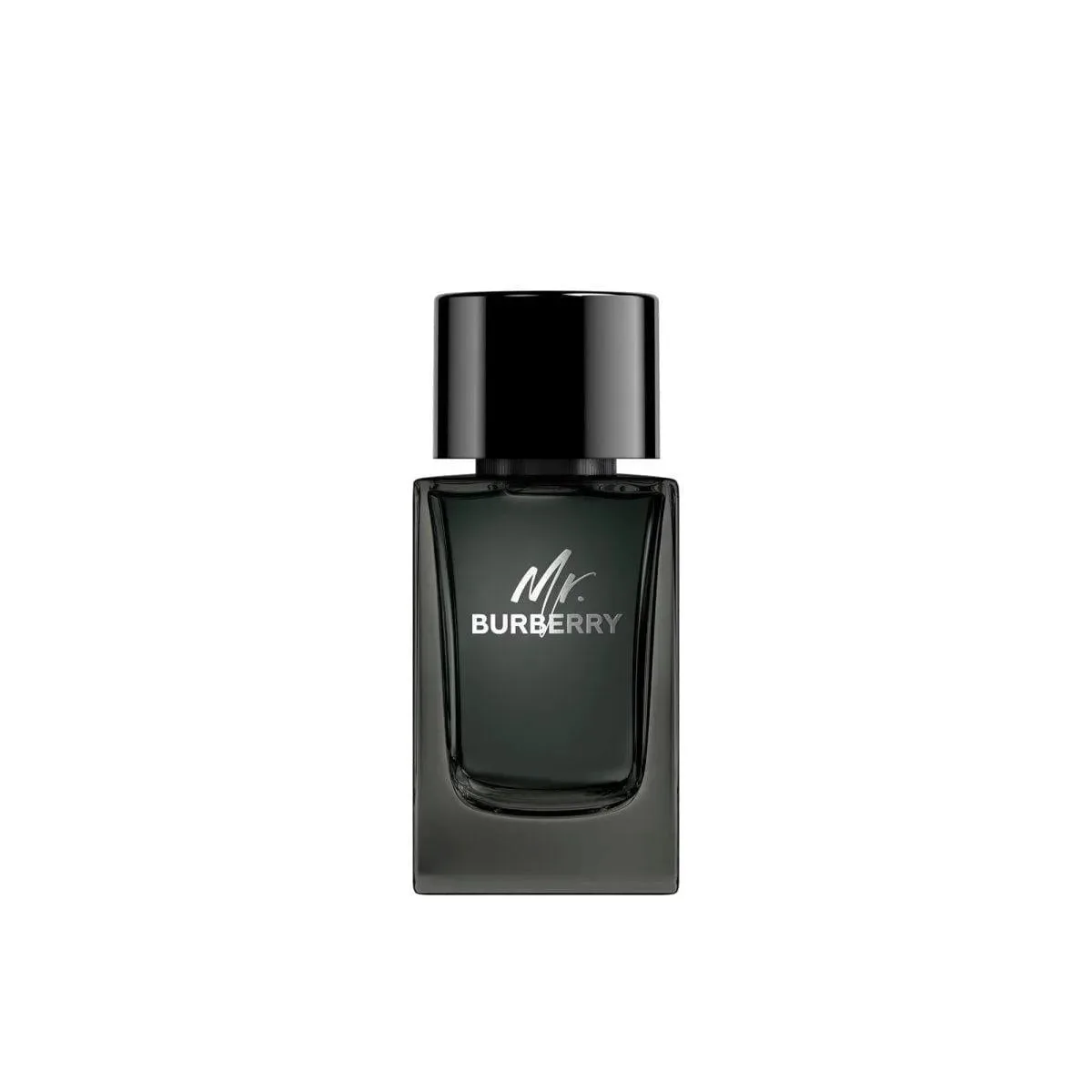 Mr. Burberry Eau de Parfum spray dla mężczyzn 100 ml