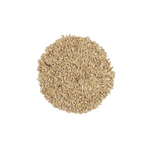 Alpiste Semillas 6 Uds Bedar – 60g