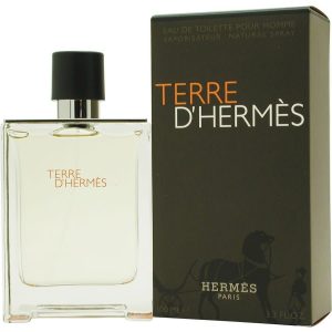 Hermès Terre d’Hermès Eau de Toilette masculino 100 ml