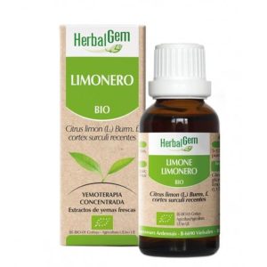 Limonero Macerado Glicerinado Herbalgem – 50ml